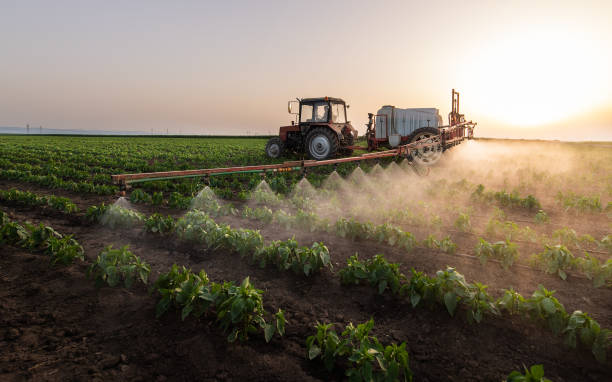 Best Ant Control Services  in Plover, WI