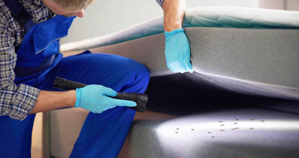 Best Affordable Pest Control Services  in Plover, WI