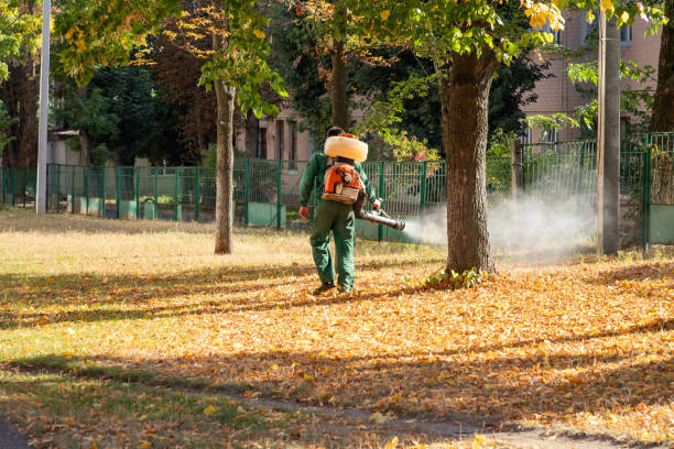 Best Wildlife Control Services  in Plover, WI